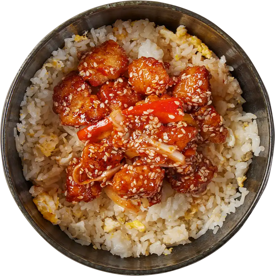 Oodles Crispy Chicken