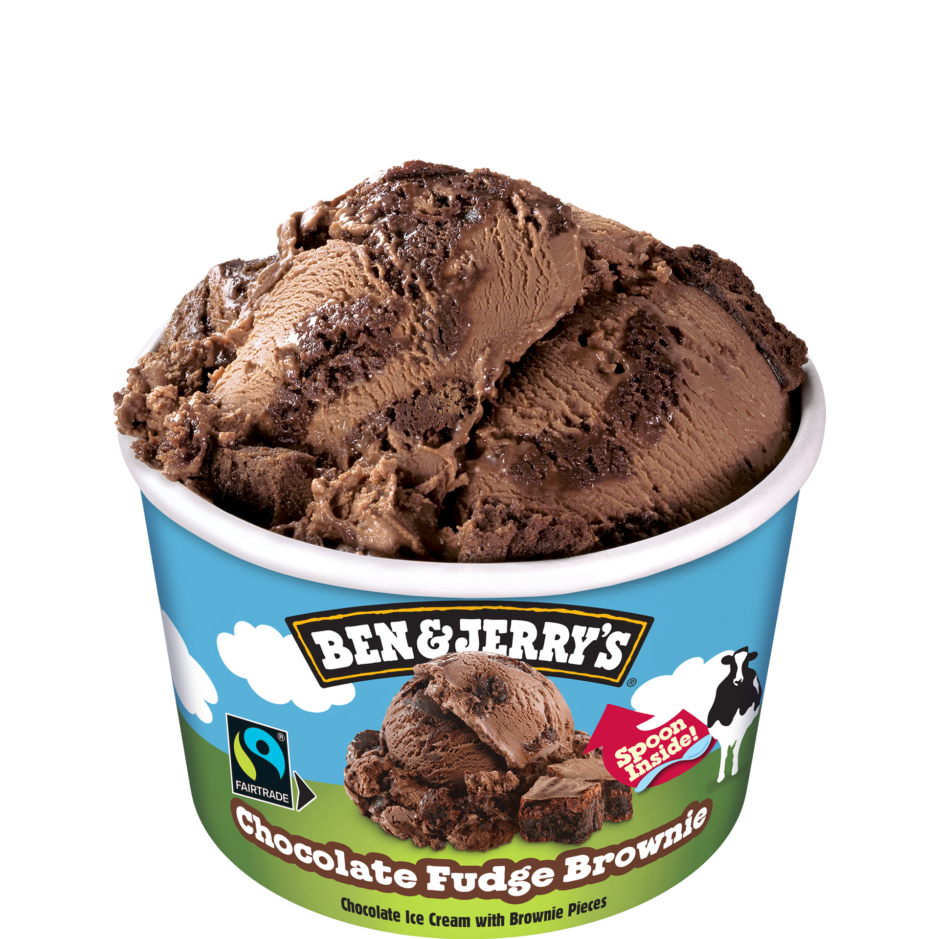 Ben & Jerry’s Chocolate Fudge Brownie